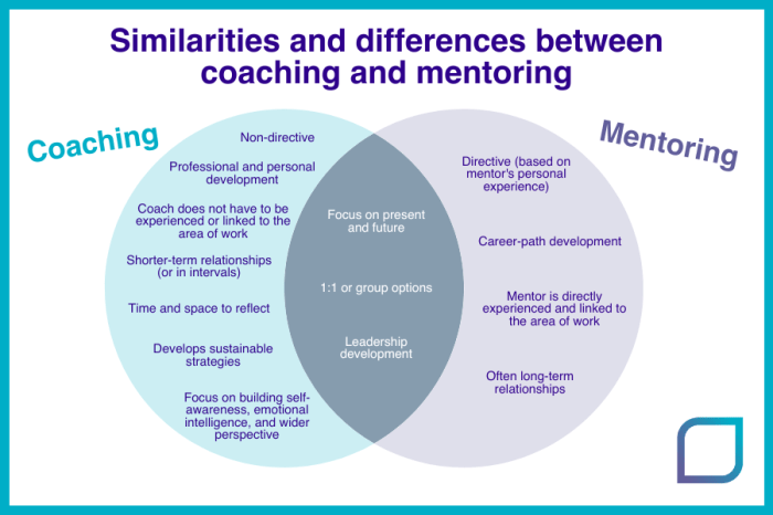 Coaching mentoring mentor